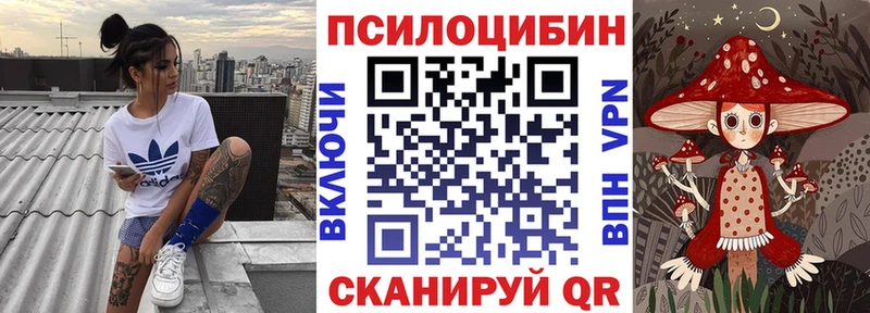 Купить  Ковылкино  Галлюциногенные грибы MAGIC MUSHROOMS 